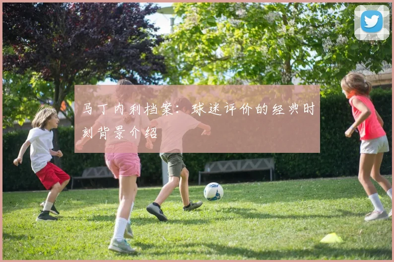 马丁内利档案：球迷评价的经典时刻背景介绍
