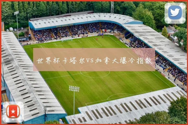 世界杯卡塔尔vs加拿大爆冷指数